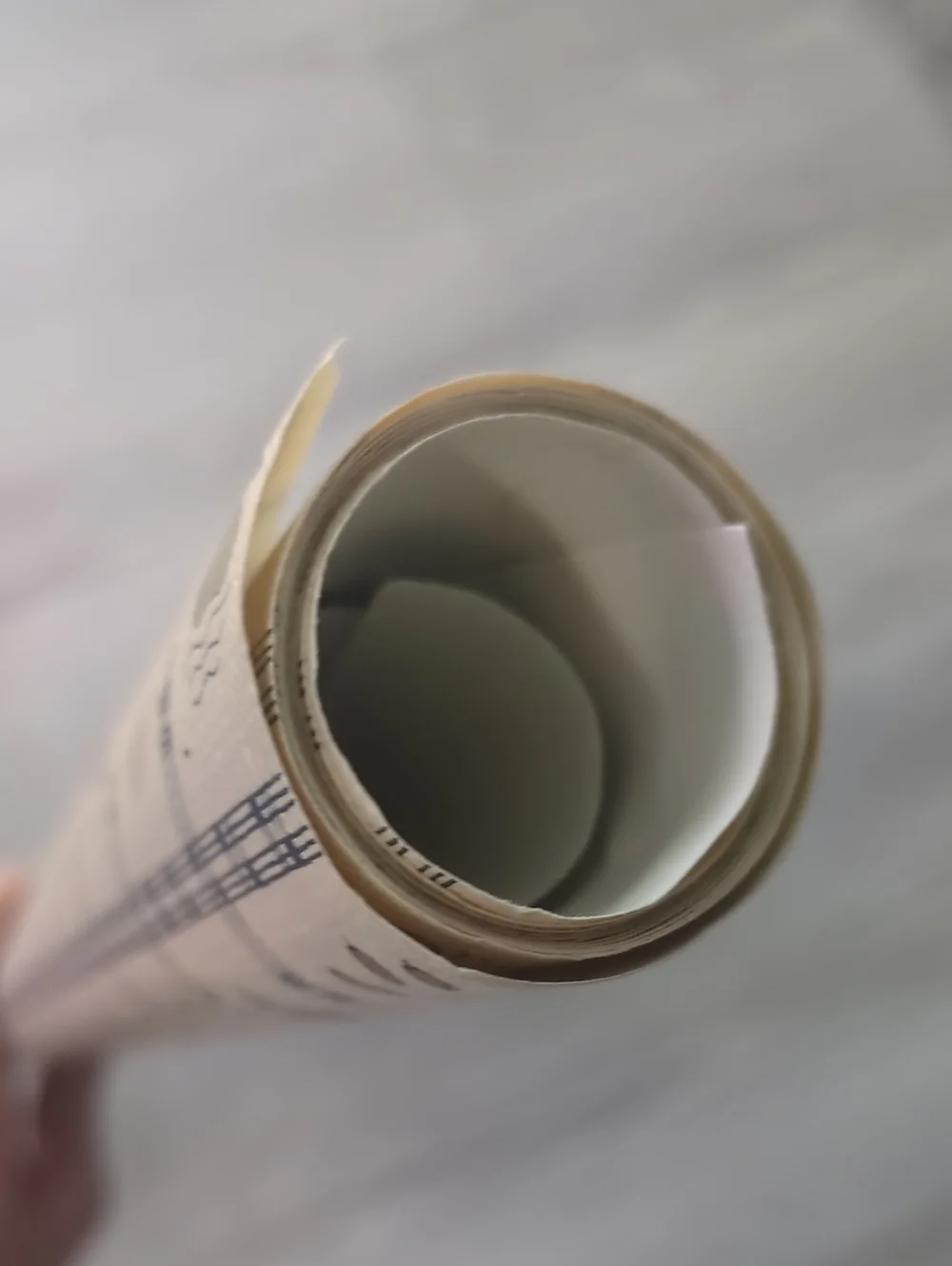 Vintage Duck & Cattail Wallpaper Remnant 21